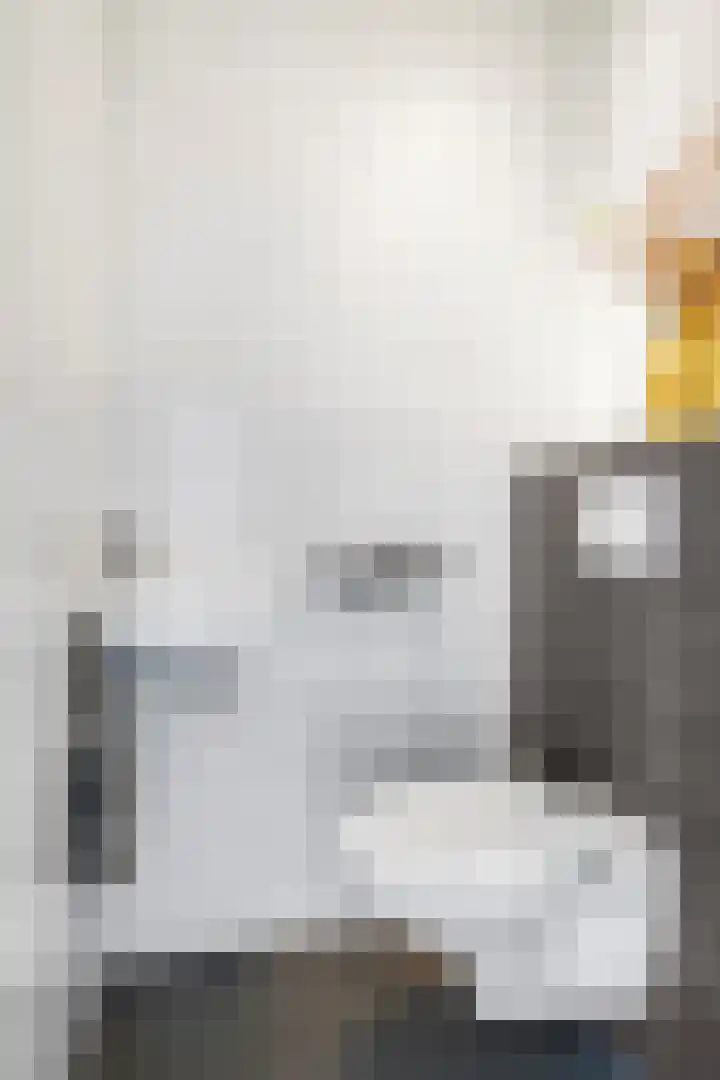 Ram 12 Elst thumbnail 15