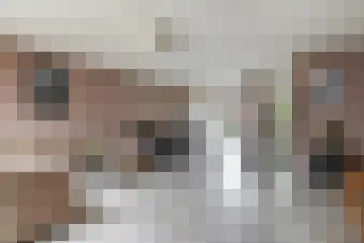 Ram 12 Elst thumbnail 22