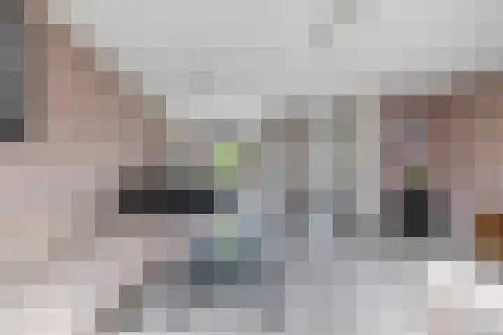 Ram 12 Elst thumbnail 23