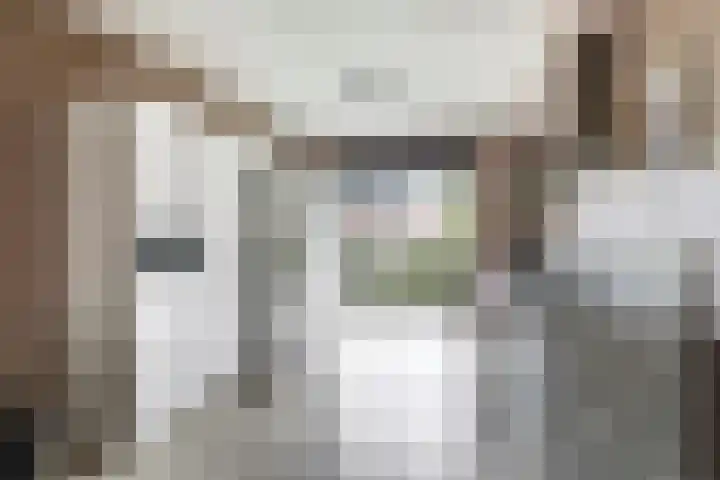 Ram 12 Elst thumbnail 26
