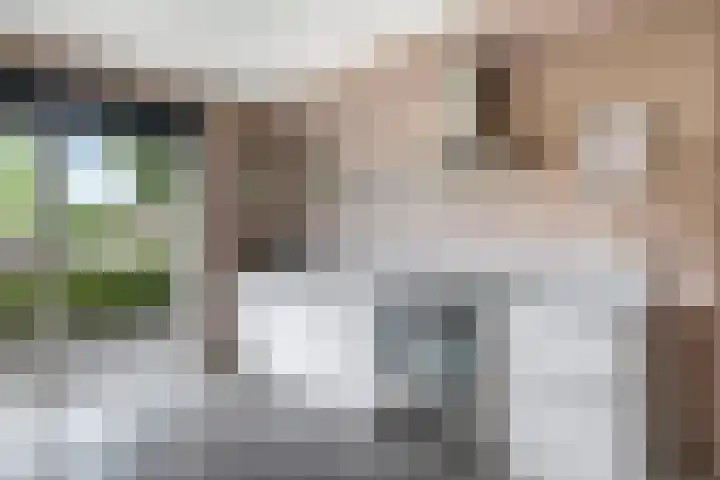Ram 12 Elst thumbnail 28