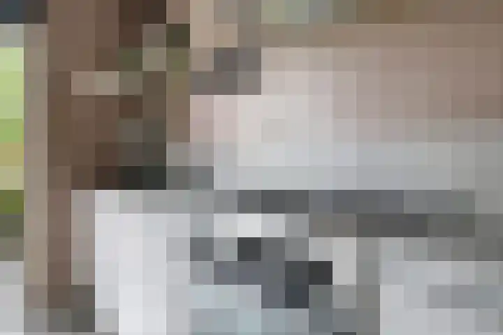 Ram 12 Elst thumbnail 29