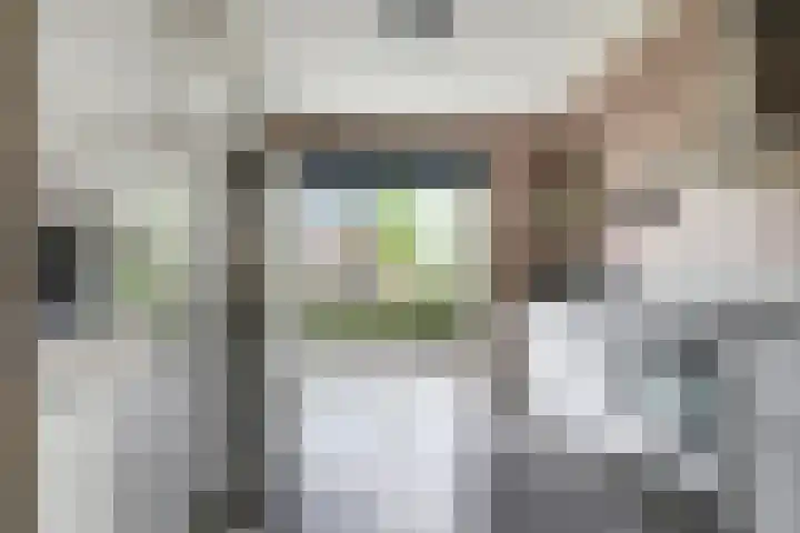 Ram 12 Elst thumbnail 30