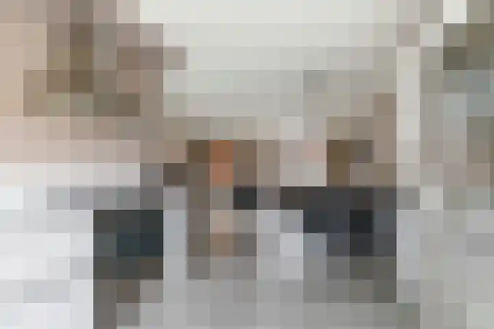 Ram 12 Elst thumbnail 32