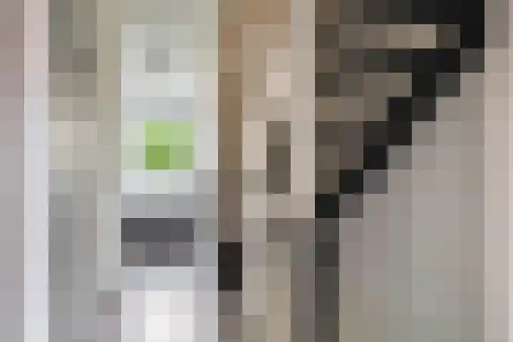 Ram 12 Elst thumbnail 34