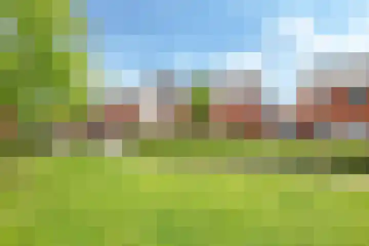 Ram 12 Elst thumbnail 4