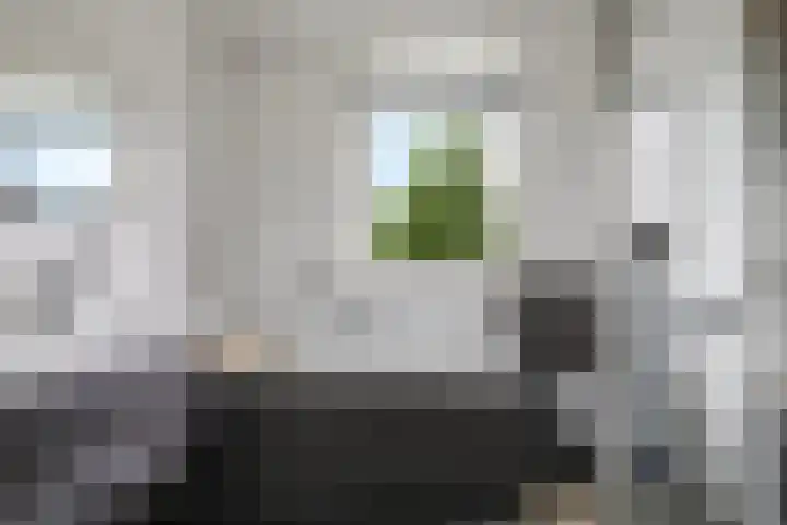 Ram 12 Elst thumbnail 40