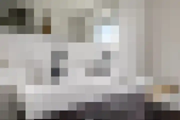 Ram 12 Elst thumbnail 41