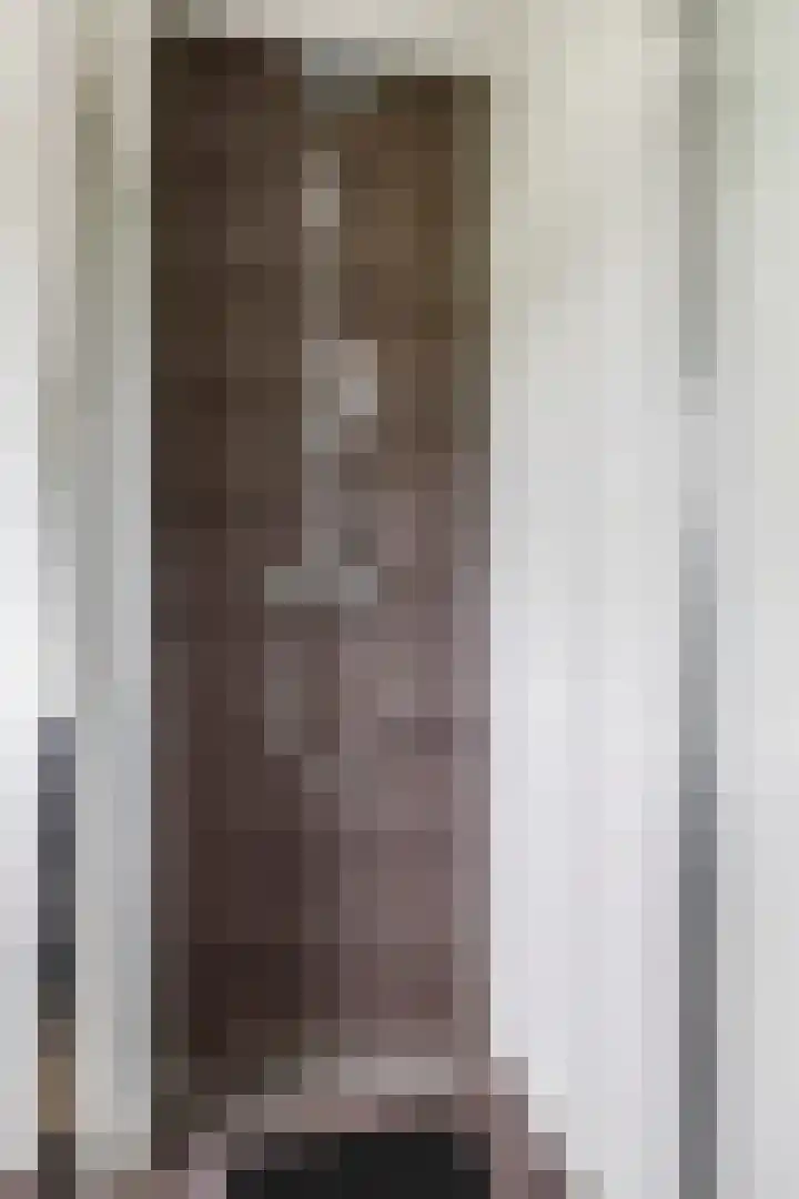 Ram 12 Elst thumbnail 43