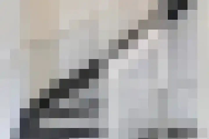 Ram 12 Elst thumbnail 44