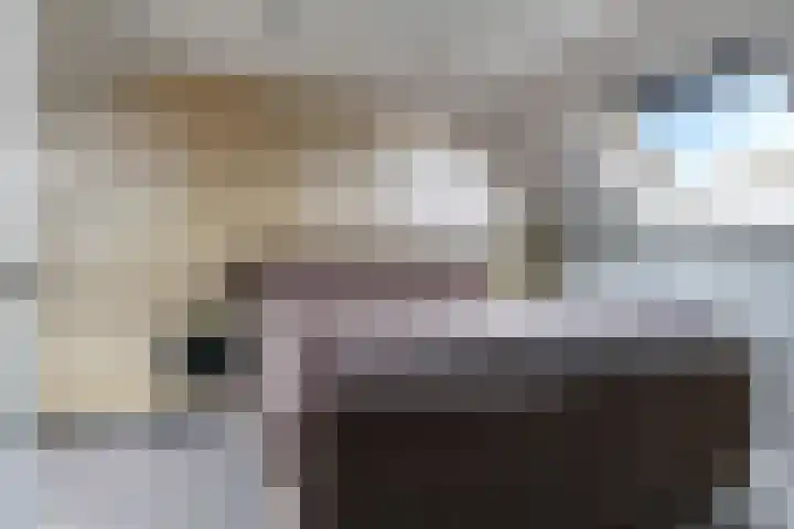 Ram 12 Elst thumbnail 48