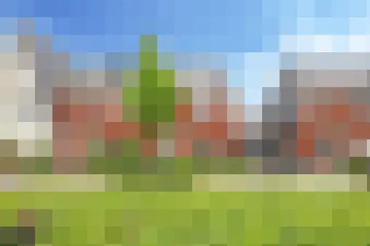 Ram 12 Elst thumbnail 5