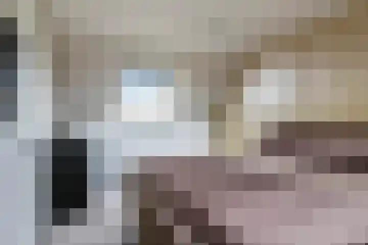 Ram 12 Elst thumbnail 50