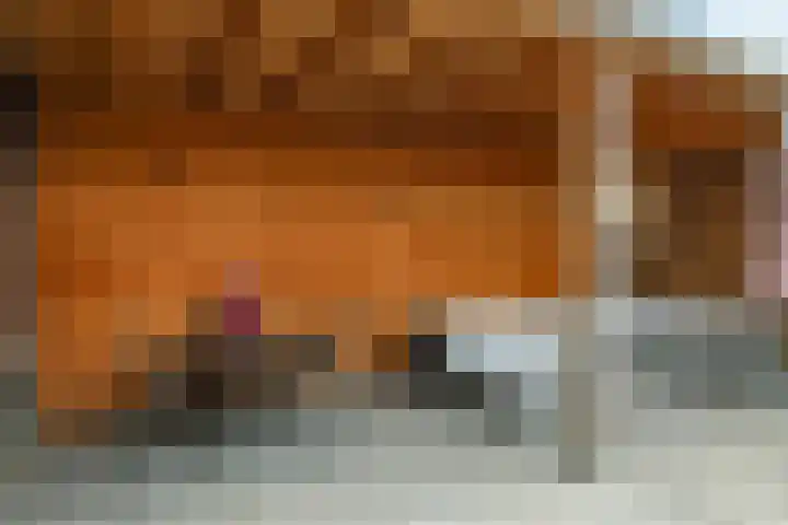 Ram 12 Elst thumbnail 57