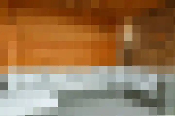 Ram 12 Elst thumbnail 58