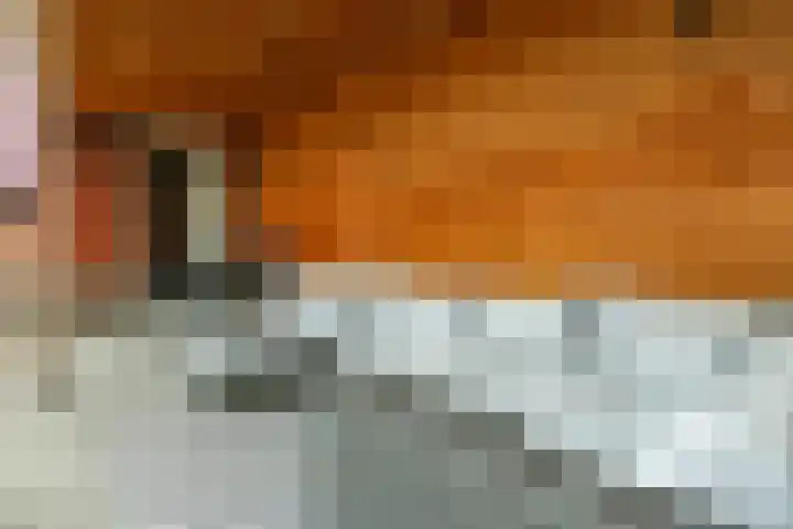 Ram 12 Elst thumbnail 59