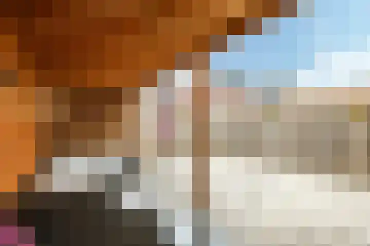 Ram 12 Elst thumbnail 60