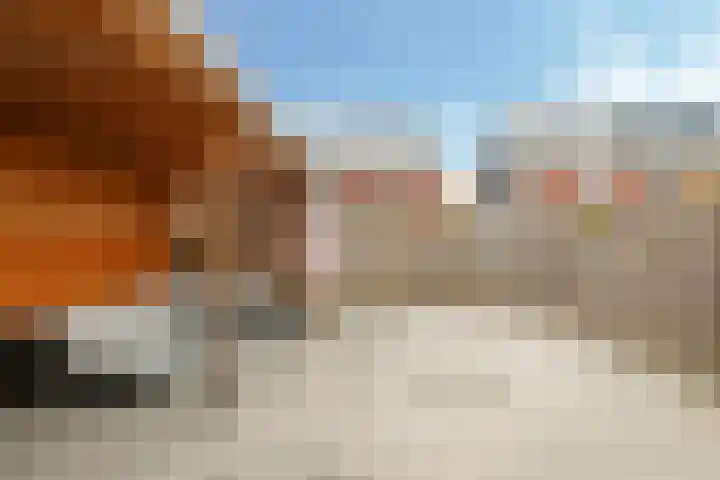 Ram 12 Elst thumbnail 64