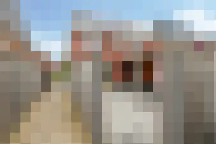 Ram 12 Elst thumbnail 65