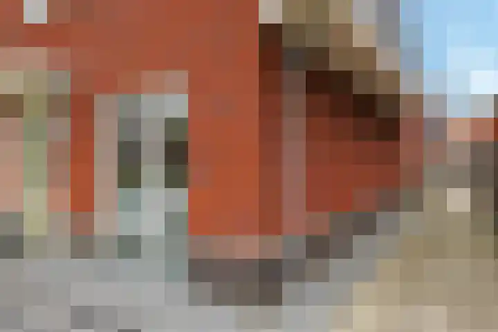 Ram 12 Elst thumbnail 66