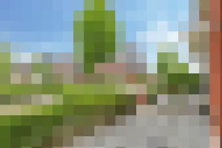 Ram 12 Elst thumbnail 67