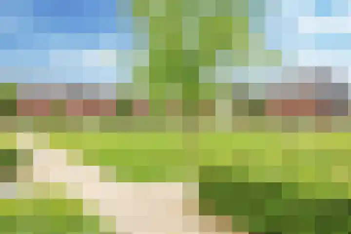 Ram 12 Elst thumbnail 68