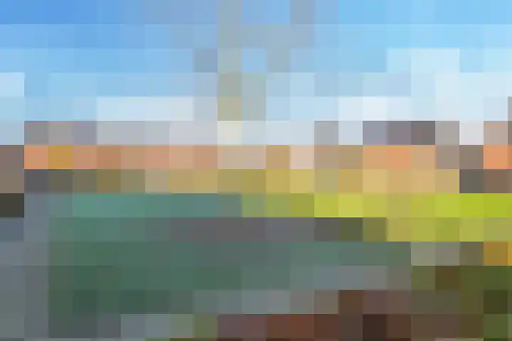 Ram 18 Elst thumbnail 20