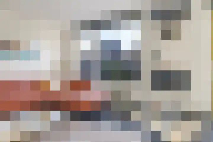 Ram 18 Elst thumbnail 29