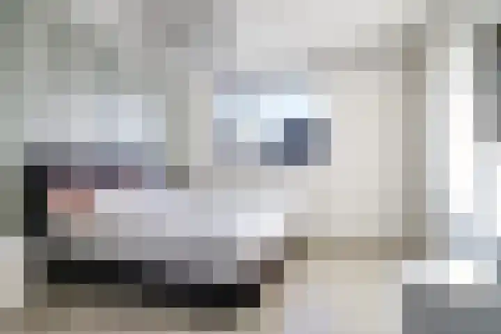 Ram 18 Elst thumbnail 36