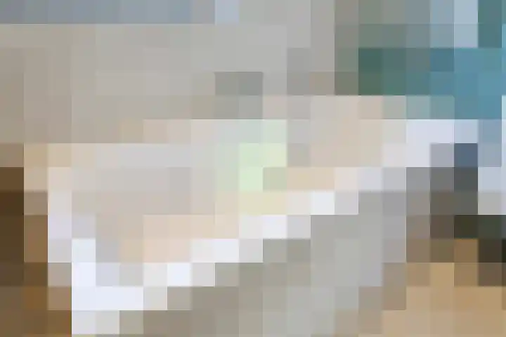 Ram 18 Elst thumbnail 41