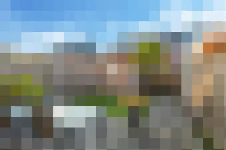 Ram 18 Elst thumbnail 55