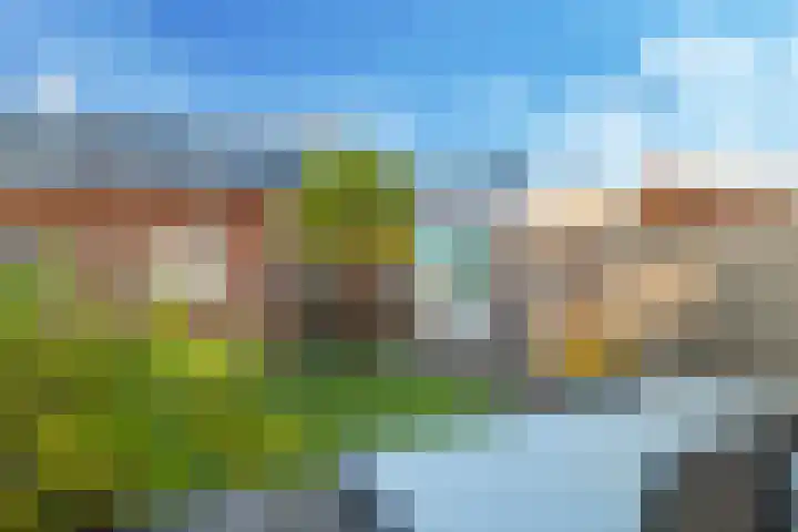 Ram 18 Elst thumbnail 56