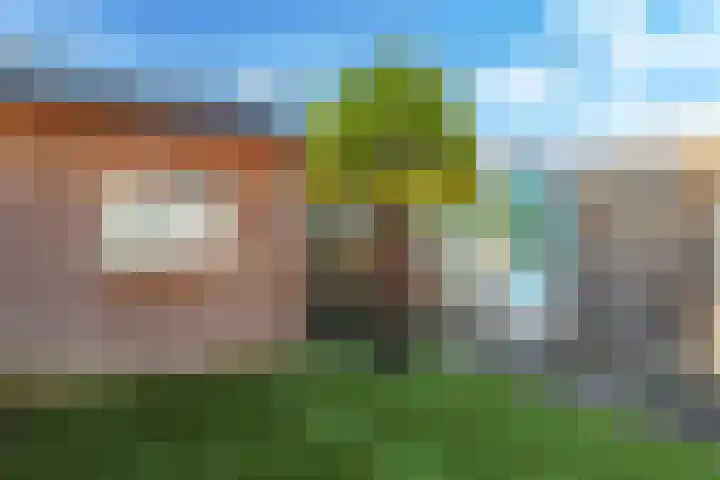 Ram 18 Elst thumbnail 58