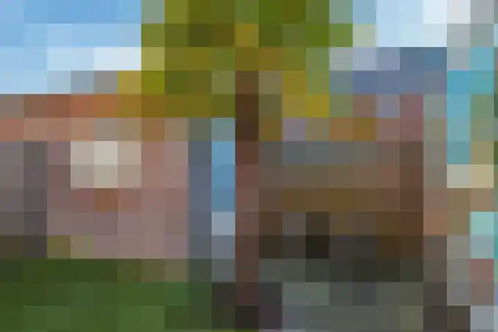 Ram 18 Elst thumbnail 59