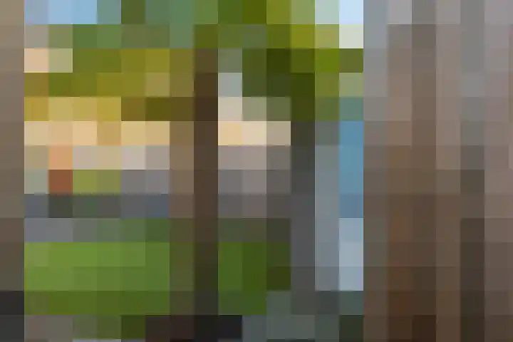 Ram 18 Elst thumbnail 60