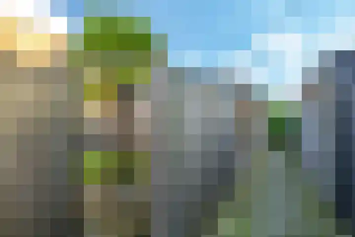 Ram 18 Elst thumbnail 61