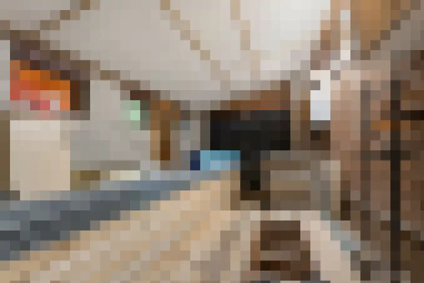 Ramaerlaan 3 Bennekom thumbnail 15