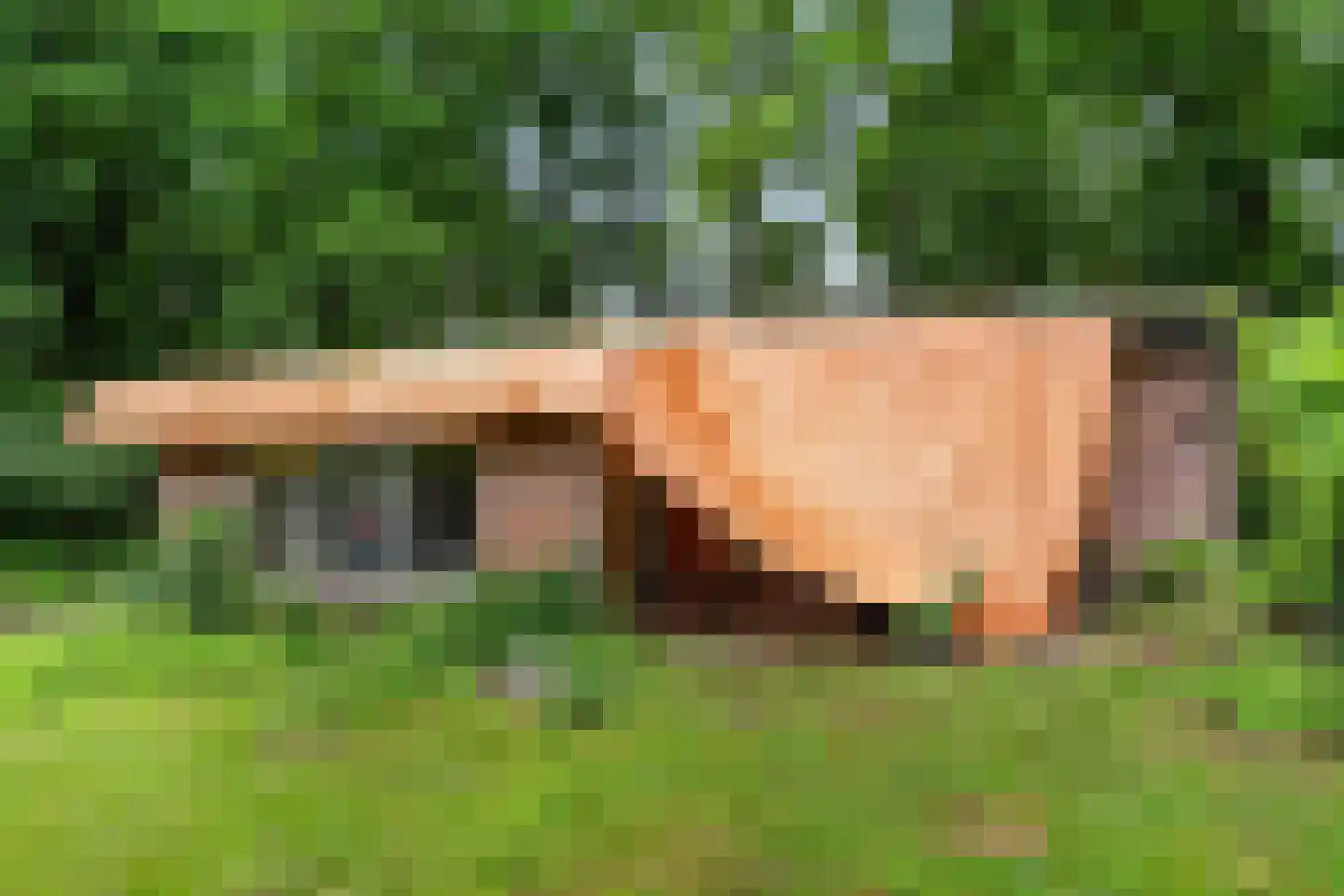 Ramaerlaan 3 Bennekom thumbnail 16