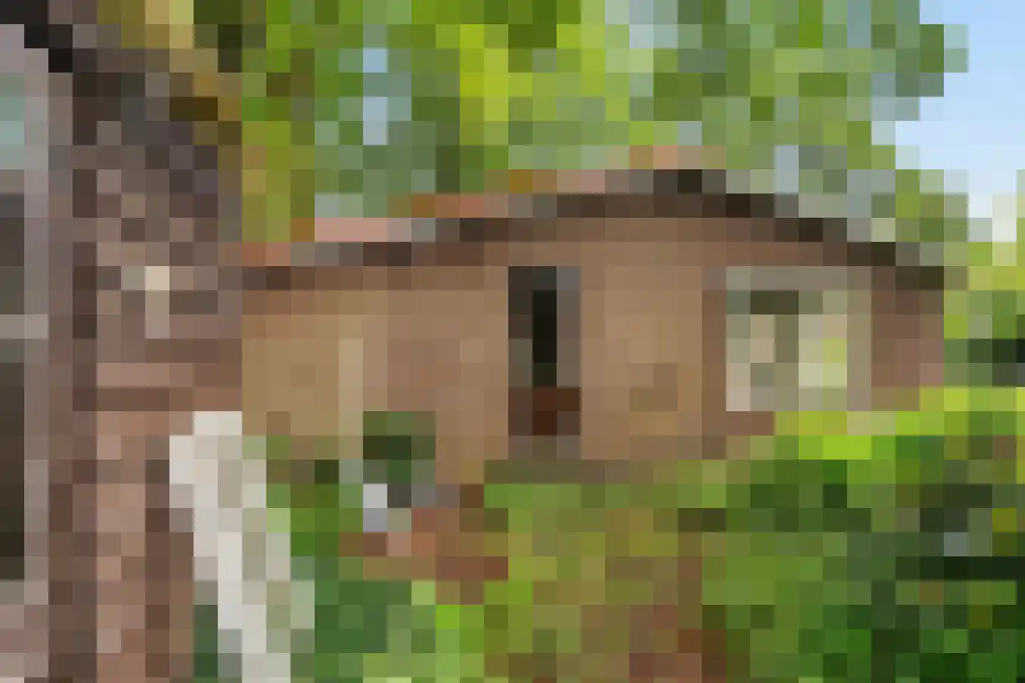 Ramaerlaan 3 Bennekom thumbnail 18