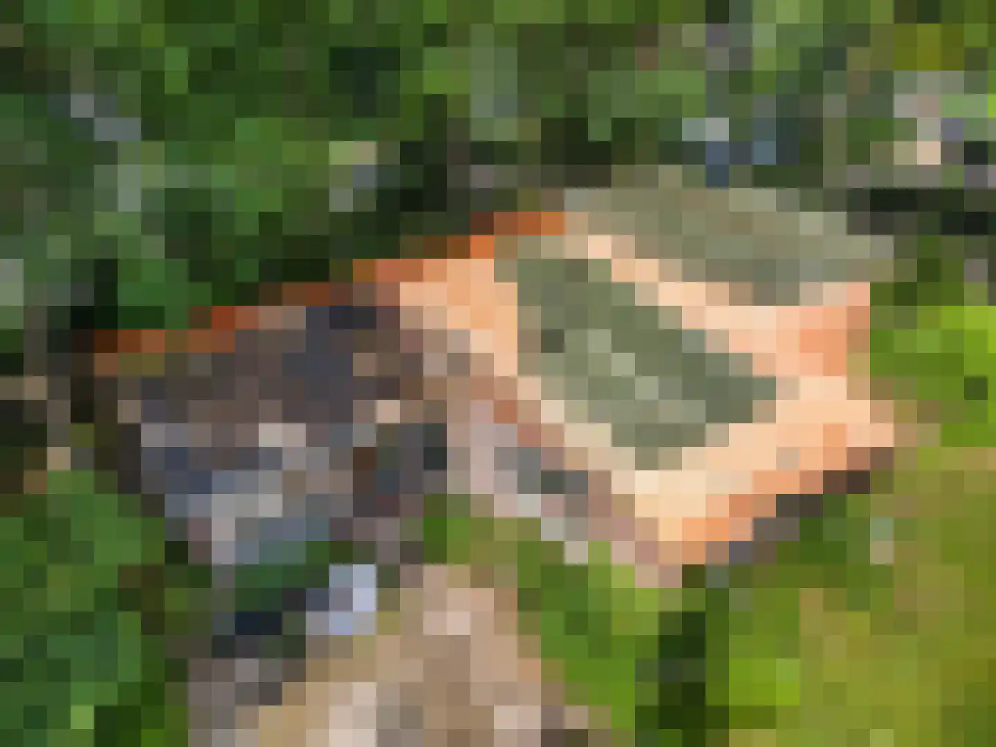 Ramaerlaan 3 Bennekom thumbnail 19
