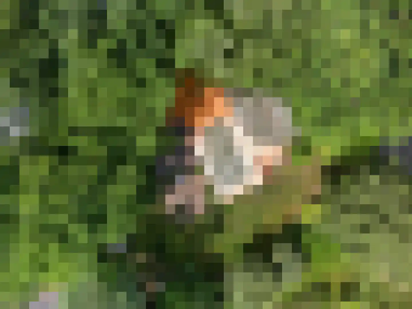 Ramaerlaan 3 Bennekom thumbnail 20