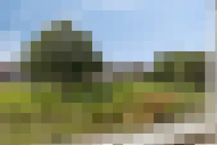 Rameaulaantje 15 Aalsmeer thumbnail 13