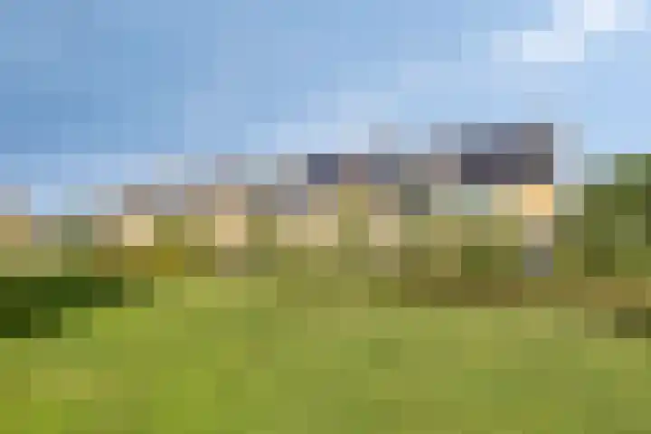 Rameaulaantje 15 Aalsmeer thumbnail 23