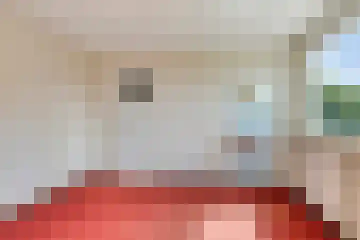 Rameaulaantje 15 Aalsmeer thumbnail 31