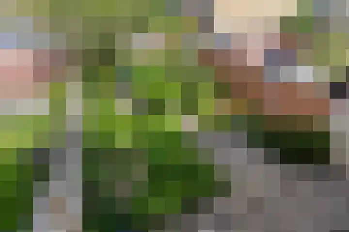 Rameaulaantje 15 Aalsmeer thumbnail 34
