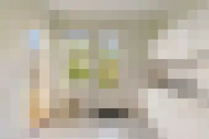 Rameaulaantje 15 Aalsmeer thumbnail 5