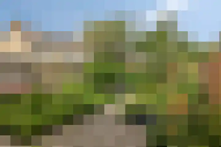 Rameaulaantje 15 Aalsmeer thumbnail 6