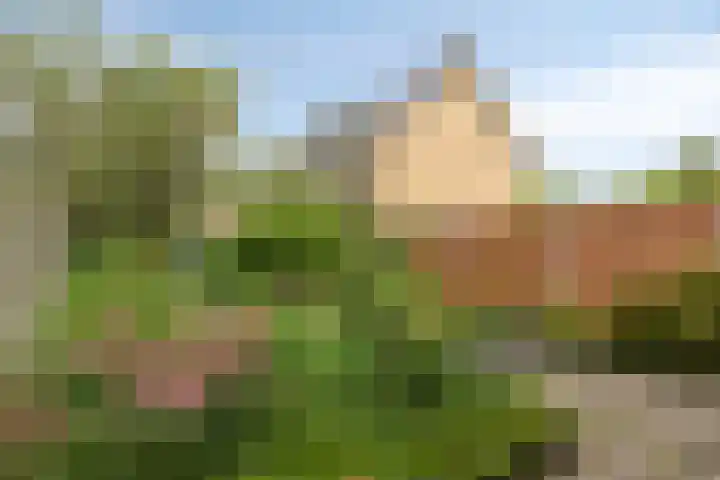 Rameaulaantje 15 Aalsmeer thumbnail 7