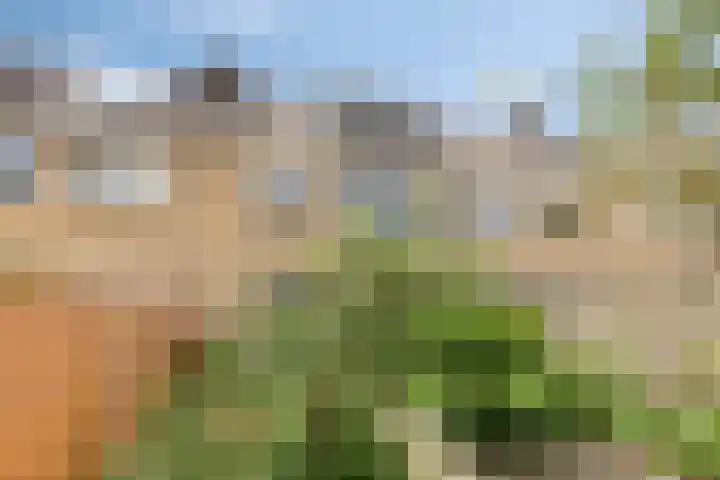 Rameaulaantje 15 Aalsmeer thumbnail 8