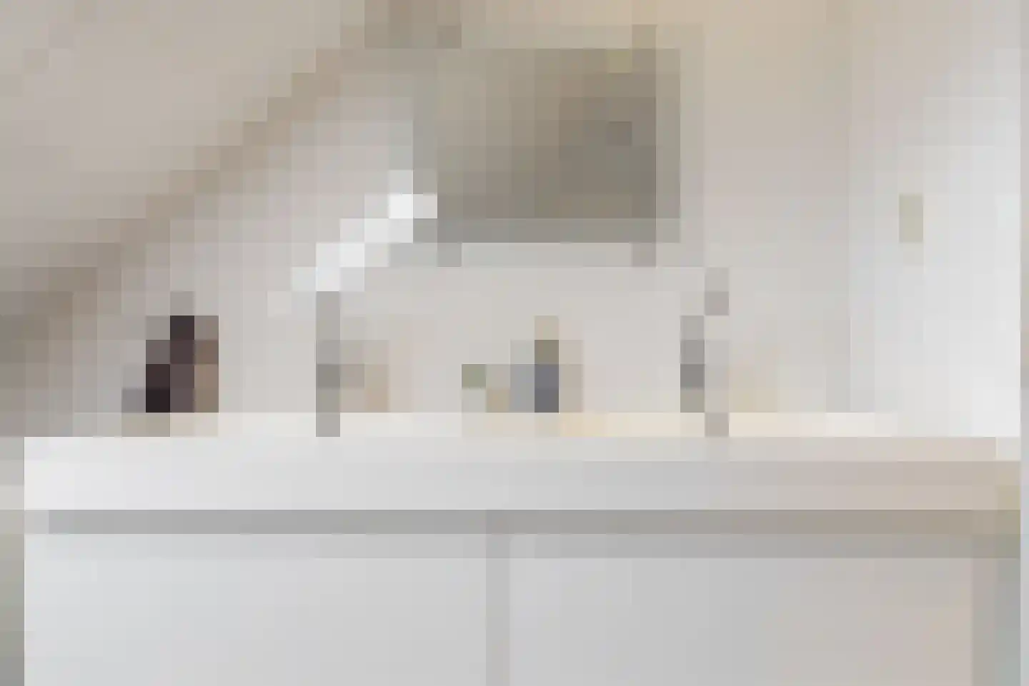 Rameaulaantje 17 Aalsmeer thumbnail 31